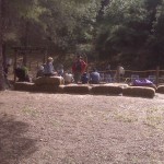 IMG00042