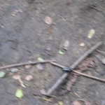 IMG_0292
