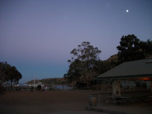 108_0338