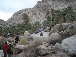 DSCN2188