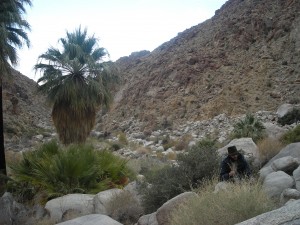 DSCN2194